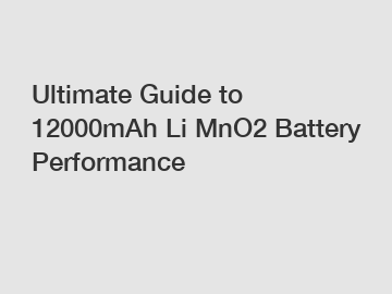 Ultimate Guide to 12000mAh Li MnO2 Battery Performance