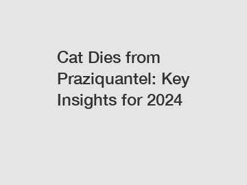 Cat Dies from Praziquantel: Key Insights for 2024