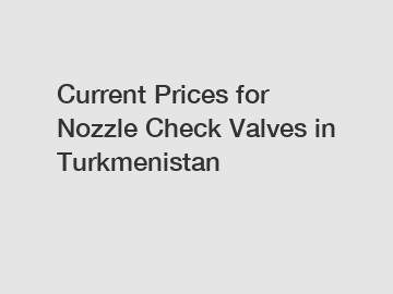 Current Prices for Nozzle Check Valves in Turkmenistan