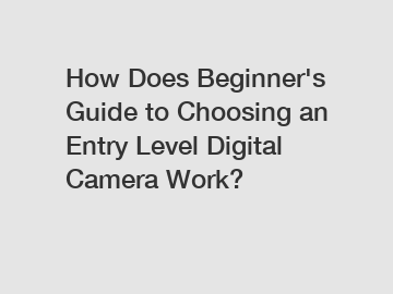 How Does Beginner's Guide to Choosing an Entry Level Digital Camera Work?