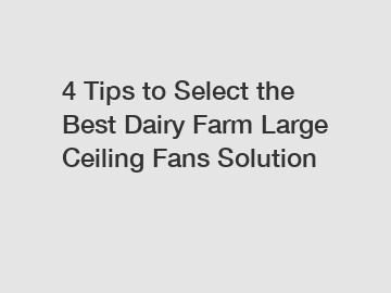 4 Tips to Select the Best Dairy Farm Large Ceiling Fans Solution