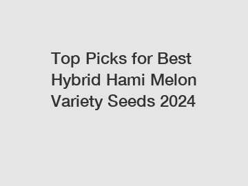 Top Picks for Best Hybrid Hami Melon Variety Seeds 2024