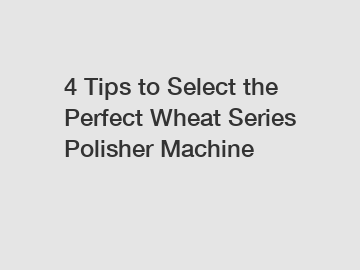 4 Tips to Select the Perfect Wheat Series Polisher Machine