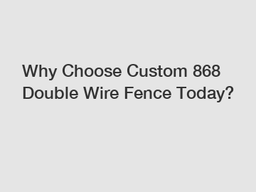 Why Choose Custom 868 Double Wire Fence Today?