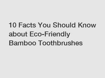 10 Facts You Should Know about Eco-Friendly Bamboo Toothbrushes