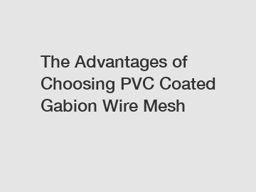 The Advantages of Choosing PVC Coated Gabion Wire Mesh