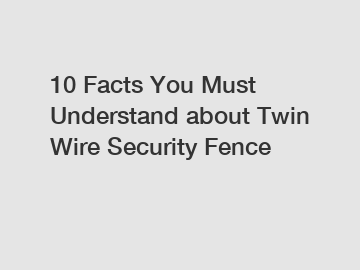 10 Facts You Must Understand about Twin Wire Security Fence