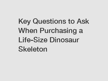 Key Questions to Ask When Purchasing a Life-Size Dinosaur Skeleton