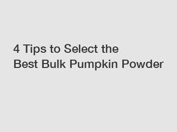 4 Tips to Select the Best Bulk Pumpkin Powder