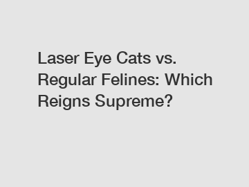 Laser Eye Cats vs. Regular Felines: Which Reigns Supreme?