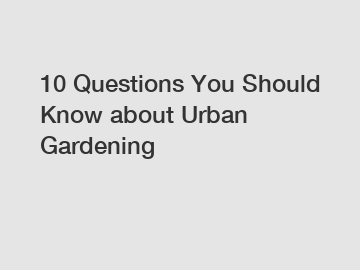 10 Questions You Should Know about Urban Gardening