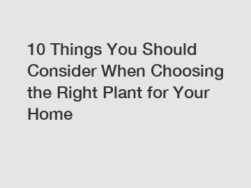 10 Things You Should Consider When Choosing the Right Plant for Your Home