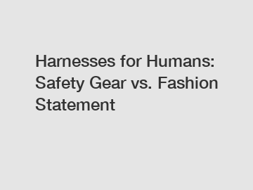 Harnesses for Humans: Safety Gear vs. Fashion Statement