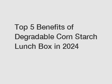 Top 5 Benefits of Degradable Corn Starch Lunch Box in 2024