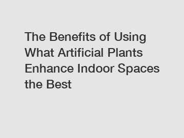 The Benefits of Using What Artificial Plants Enhance Indoor Spaces the Best