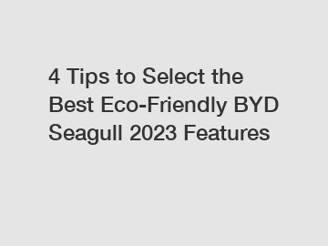 4 Tips to Select the Best Eco-Friendly BYD Seagull 2023 Features