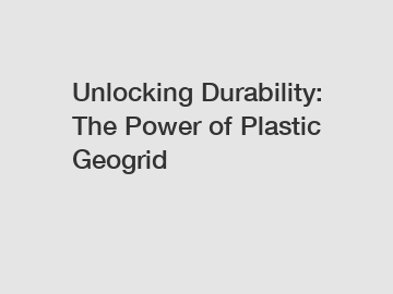 Unlocking Durability: The Power of Plastic Geogrid