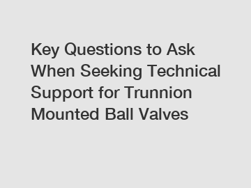 Key Questions to Ask When Seeking Technical Support for Trunnion Mounted Ball Valves