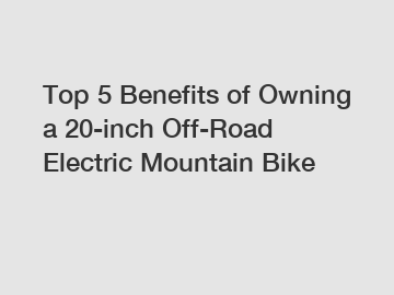 Top 5 Benefits of Owning a 20-inch Off-Road Electric Mountain Bike