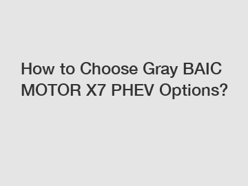 How to Choose Gray BAIC MOTOR X7 PHEV Options?