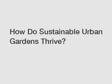 How Do Sustainable Urban Gardens Thrive?