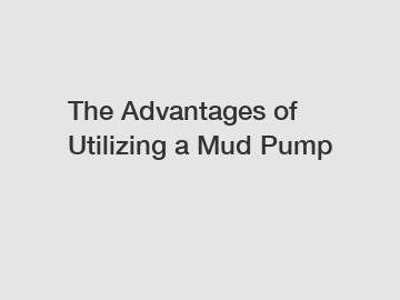 The Advantages of Utilizing a Mud Pump