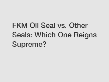 FKM Oil Seal vs. Other Seals: Which One Reigns Supreme?