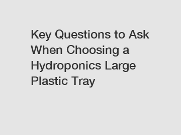 Key Questions to Ask When Choosing a Hydroponics Large Plastic Tray