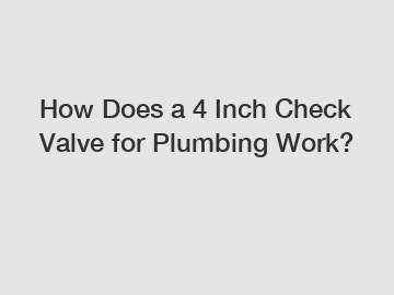 How Does a 4 Inch Check Valve for Plumbing Work?