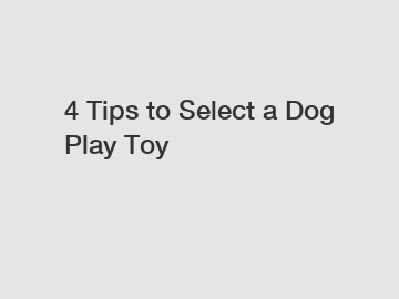 4 Tips to Select a Dog Play Toy