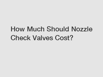How Much Should Nozzle Check Valves Cost?