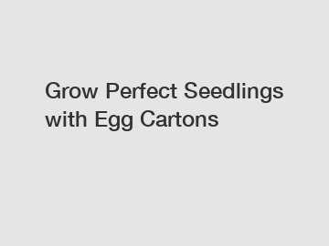 Grow Perfect Seedlings with Egg Cartons