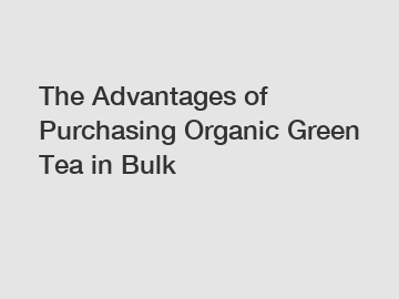 The Advantages of Purchasing Organic Green Tea in Bulk