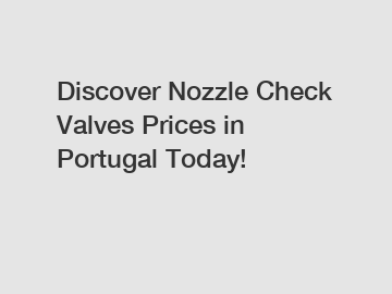 Discover Nozzle Check Valves Prices in Portugal Today!