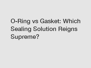 O-Ring vs Gasket: Which Sealing Solution Reigns Supreme?