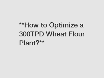 **How to Optimize a 300TPD Wheat Flour Plant?**
