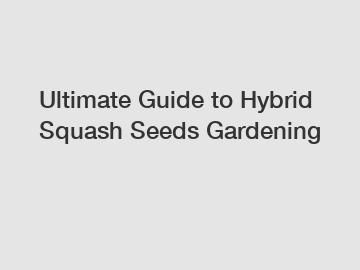 Ultimate Guide to Hybrid Squash Seeds Gardening