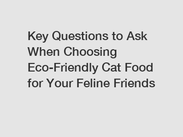 Key Questions to Ask When Choosing Eco-Friendly Cat Food for Your Feline Friends