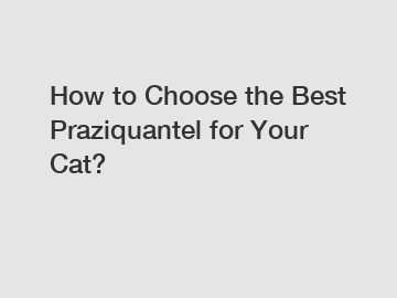 How to Choose the Best Praziquantel for Your Cat?
