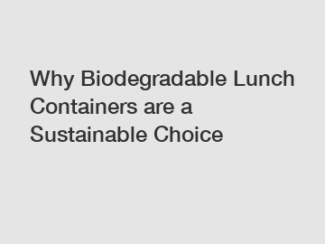 Why Biodegradable Lunch Containers are a Sustainable Choice