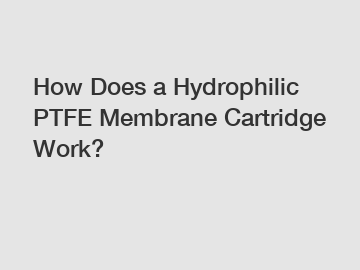 How Does a Hydrophilic PTFE Membrane Cartridge Work?