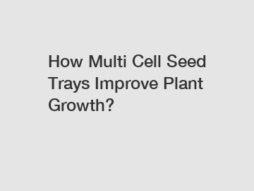 How Multi Cell Seed Trays Improve Plant Growth?