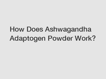 How Does Ashwagandha Adaptogen Powder Work?