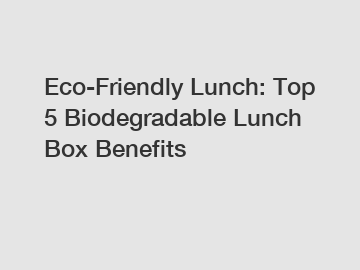 Eco-Friendly Lunch: Top 5 Biodegradable Lunch Box Benefits