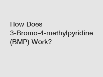 How Does 3-Bromo-4-methylpyridine (BMP) Work?