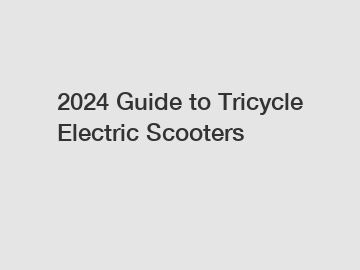 2024 Guide to Tricycle Electric Scooters