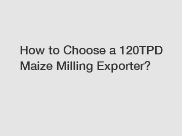 How to Choose a 120TPD Maize Milling Exporter?