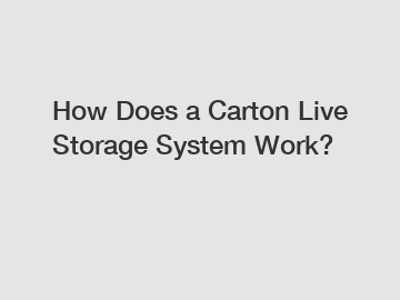 How Does a Carton Live Storage System Work?