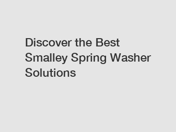 Discover the Best Smalley Spring Washer Solutions