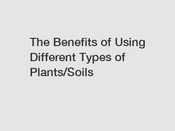 The Benefits of Using Different Types of Plants/Soils